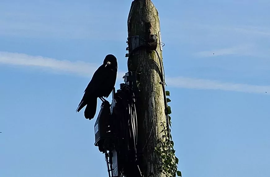 10/18/25 Visit to Tara, Knowth, and Newgrange; EPIC Museum
