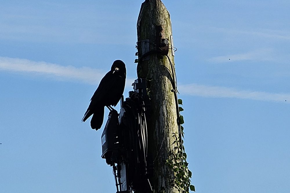 10/18/25 Visit to Tara, Knowth, and Newgrange; EPIC Museum